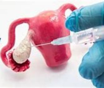 Untitled design (52)